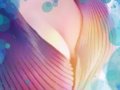 HARU